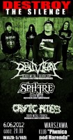 Destroy The Silence
