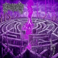 civerous-maze-envy